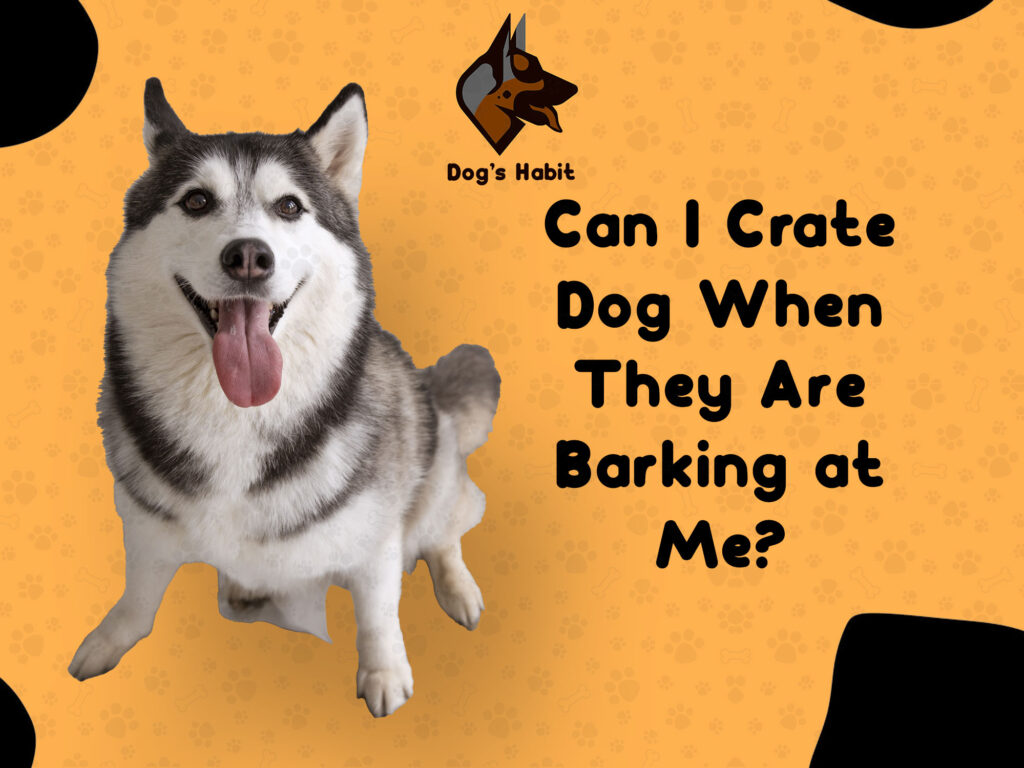 Can I Crate Dog When They Are Barking at Me?