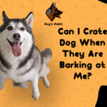 Can I Crate Dog When They Are Barking at Me?