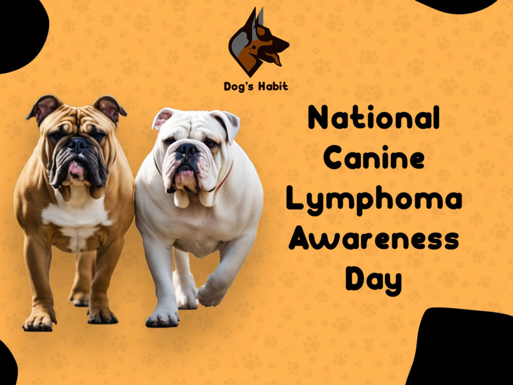 National Canine Lymphoma Awareness Day