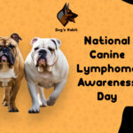 National Canine Lymphoma Awareness Day