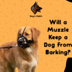 Will a Muzzle Keep a Dog from Barking