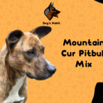 Mountain Cur Pitbull Mix Guide