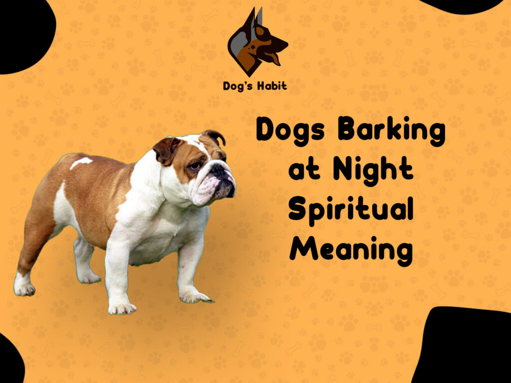 Dogs Barking at Night Spiritual Meaning