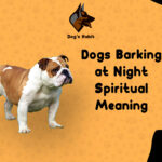 Dogs Barking at Night Spiritual Meaning