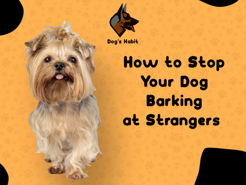 How to Stop Your Dog Barking at Strangers