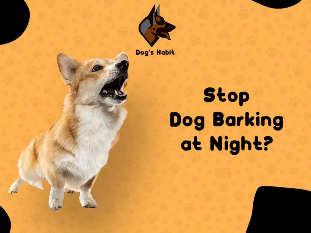 How Do You Stop Dog from Barking at Night