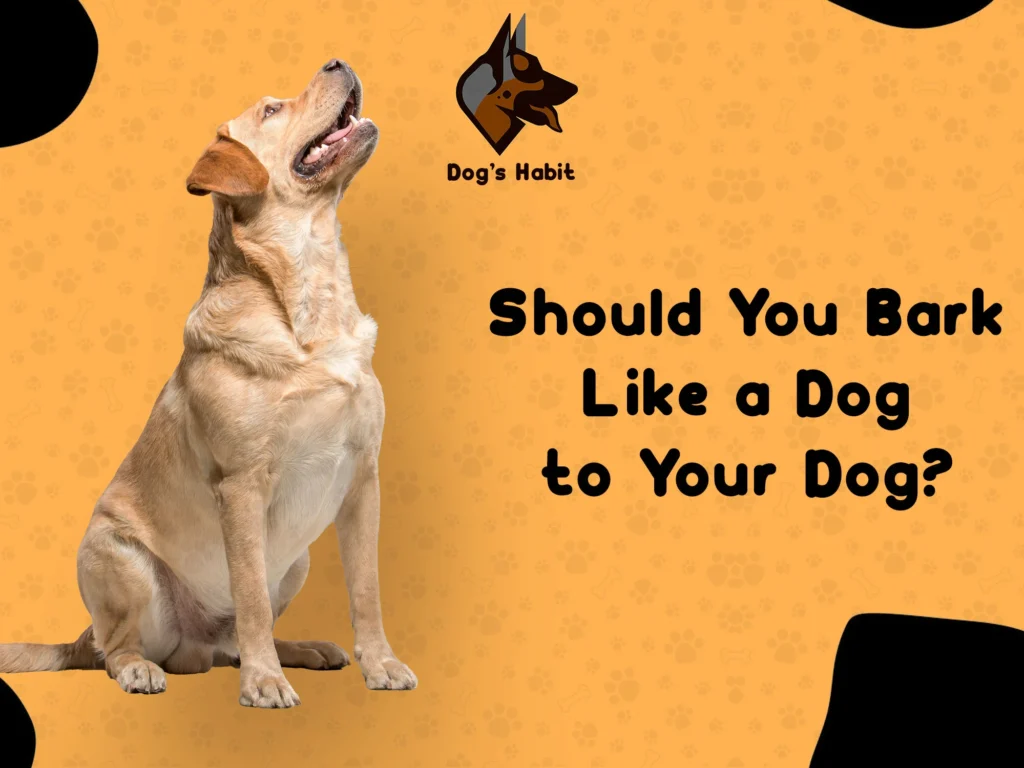 should you bark like a dog to your dog