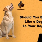 should you bark like a dog to your dog