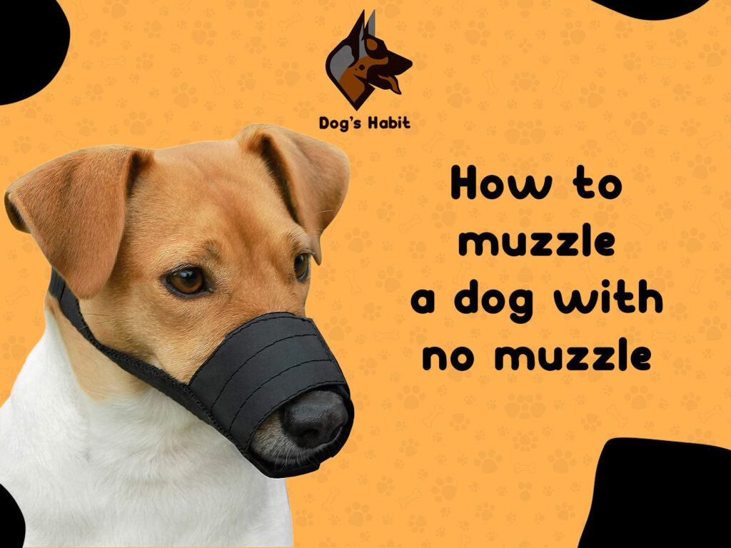 How to muzzle a dog with no muzzle